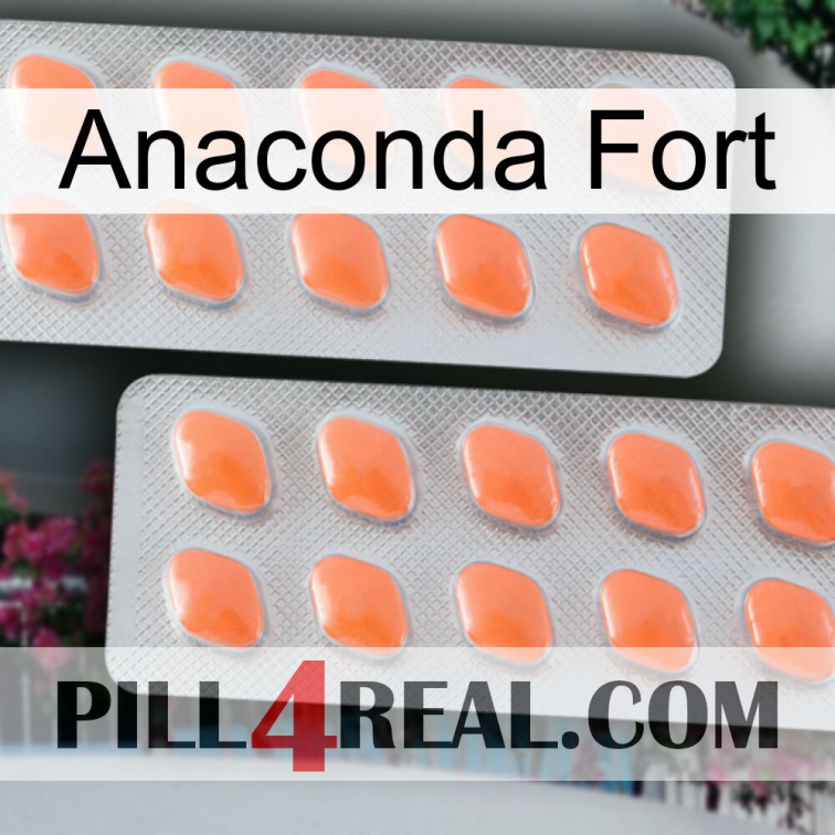 Anaconda Strong 27